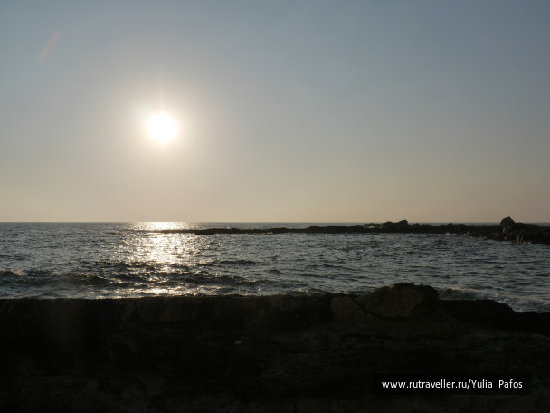 photo 1342407