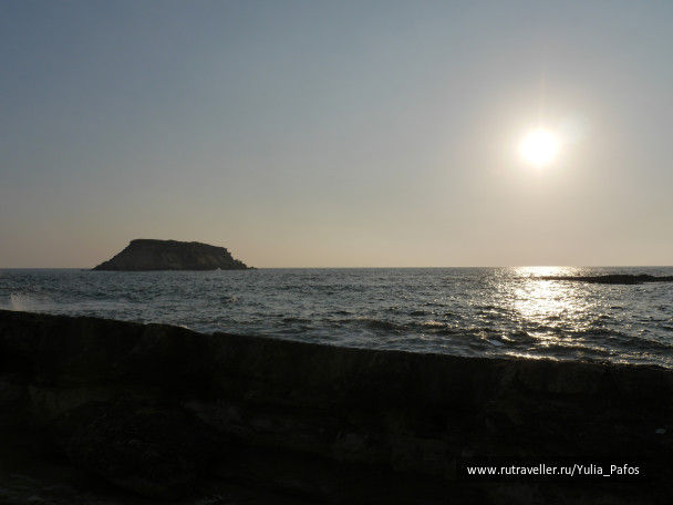 photo 1342408
