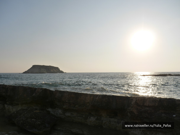photo 1342409