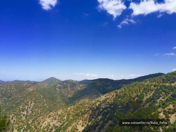 photo 1354178