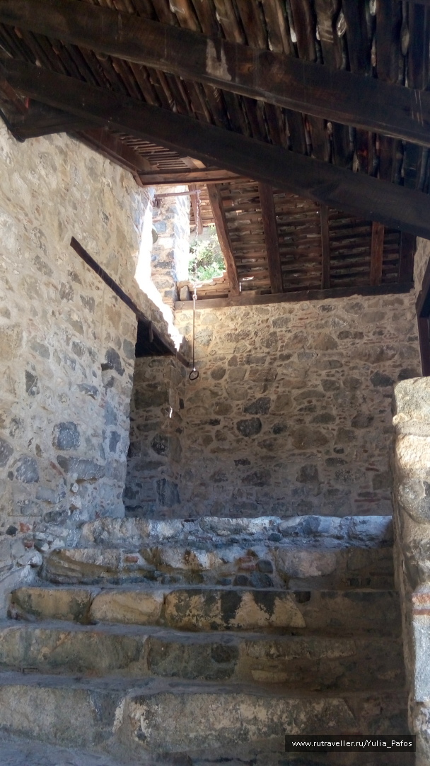 photo 1362646