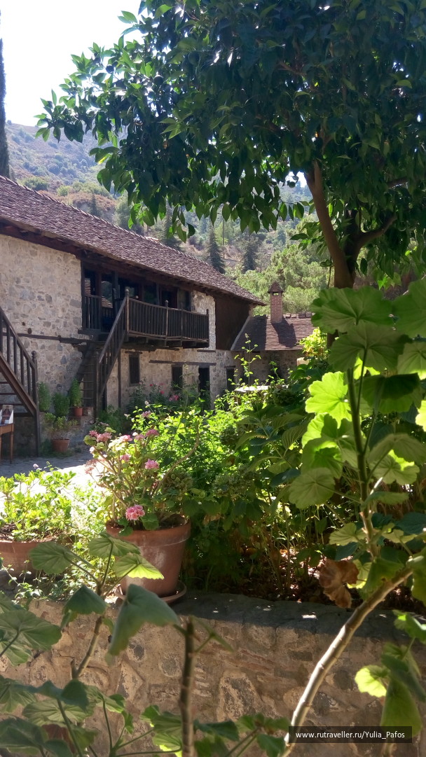 photo 1362649