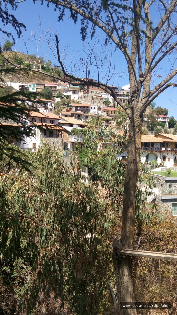 photo 1362654