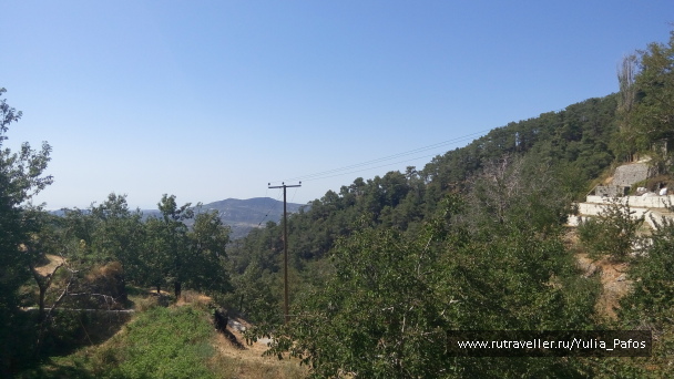 photo 1362667