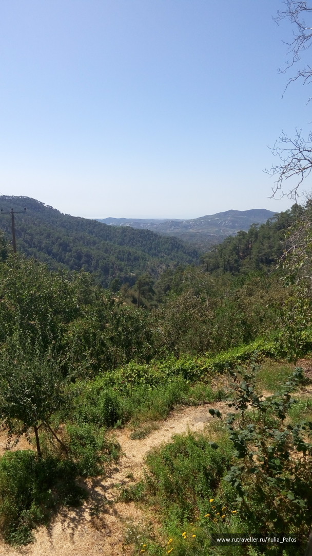 photo 1362669