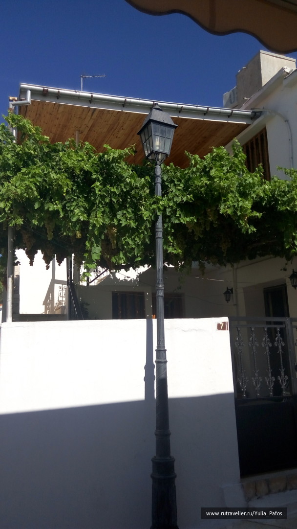 photo 1362749