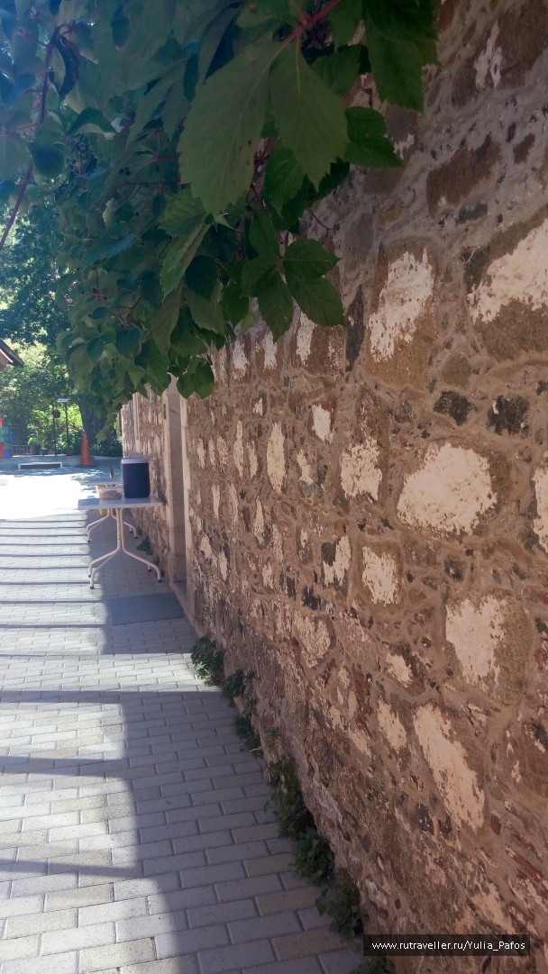 photo 1390317