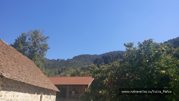 photo 1390323
