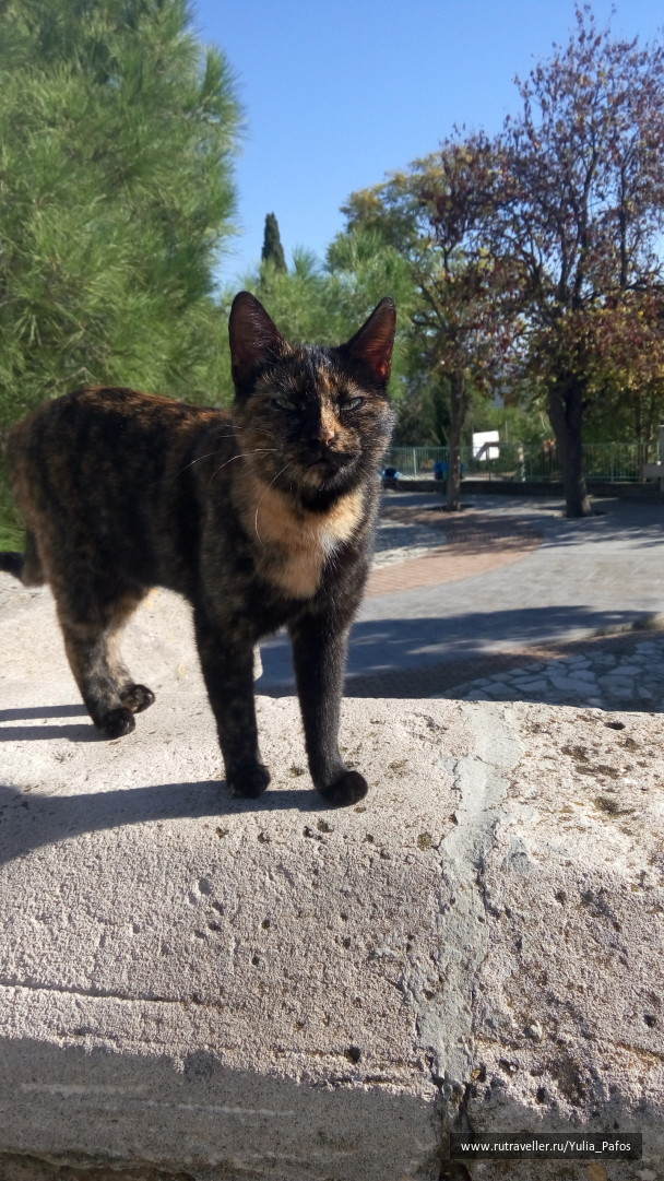 photo 1416517