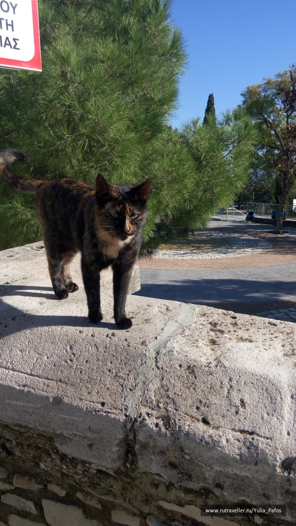 photo 1416518