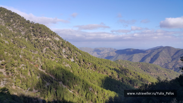 photo 1426906
