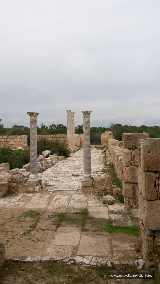 photo 1438157