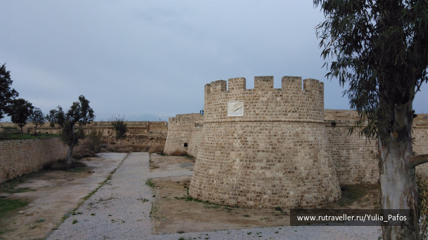 photo 1438278