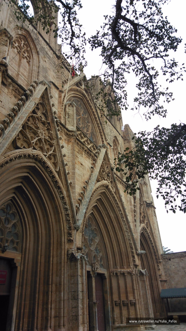 photo 1438319