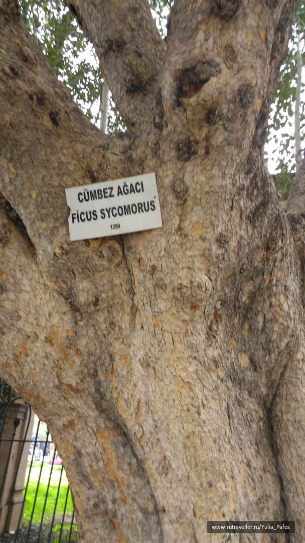 photo 1438321