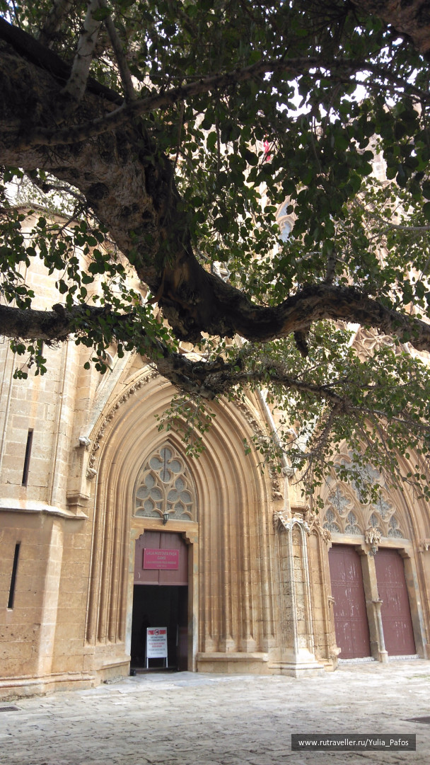 photo 1438322