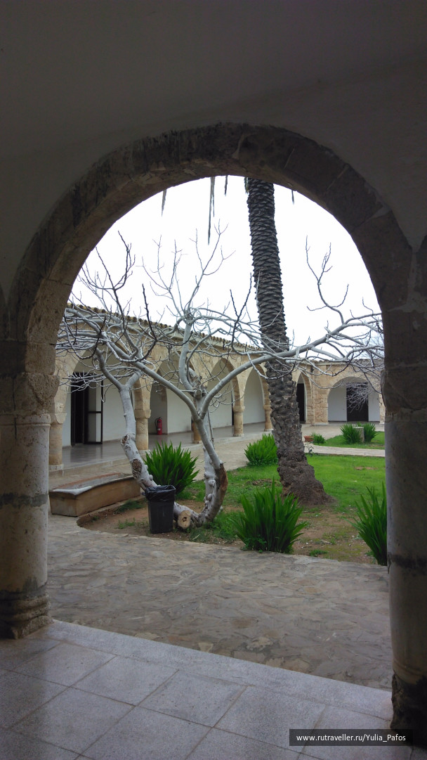 photo 1438341