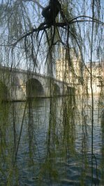 photo 264247