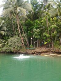 photo 253788