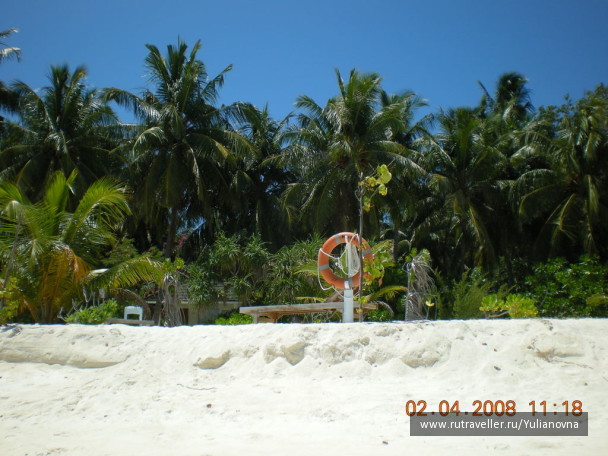 photo 329019