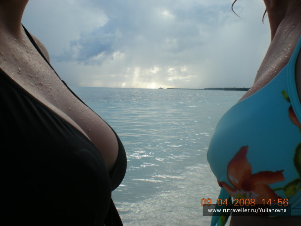 photo 329121
