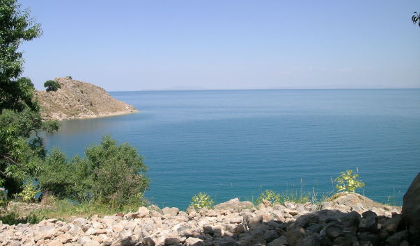DSCN4430