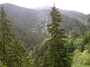 photo 572281