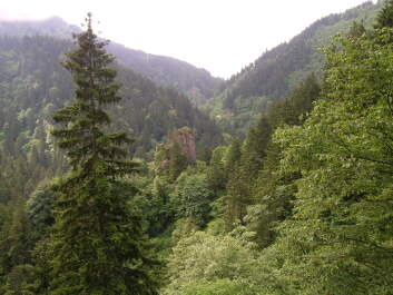 photo 572282