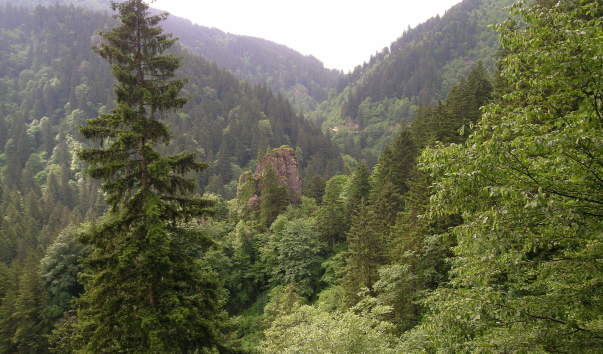 DSCN4283