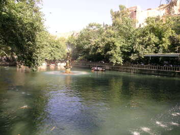 photo 578156