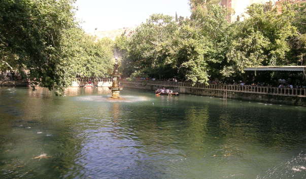 DSCN4485
