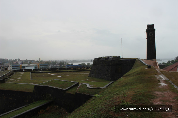 photo 486648
