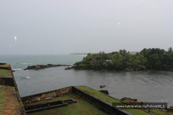photo 486651