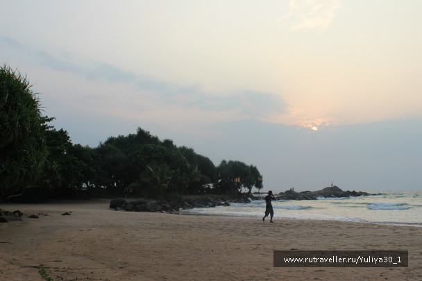 photo 486670