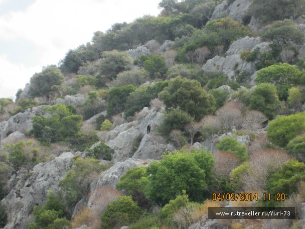 photo 859523