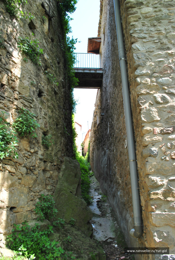 photo 491525