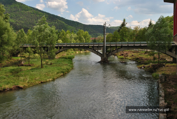 photo 491528