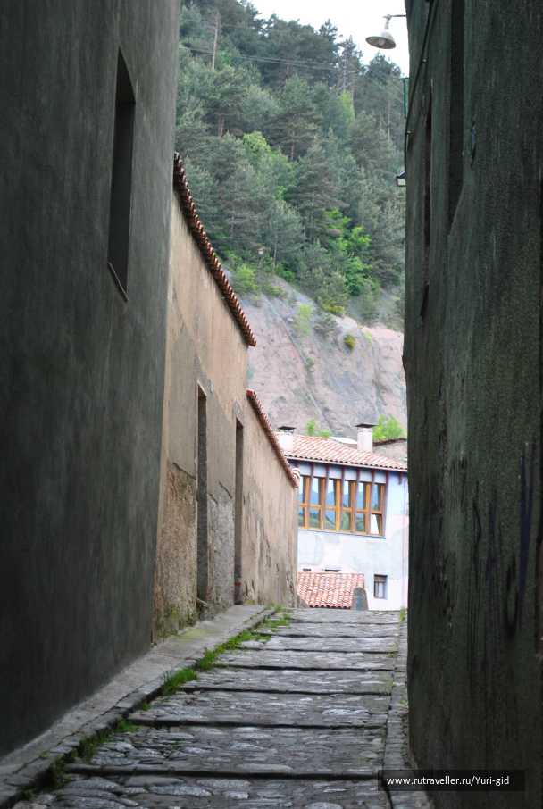 photo 491537