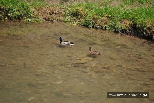 photo 491551