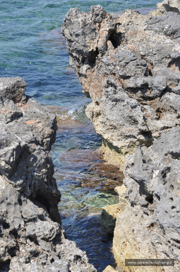 photo 494932