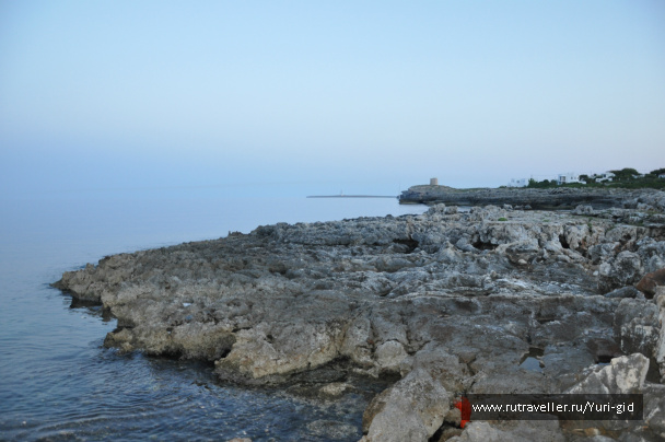 photo 494946