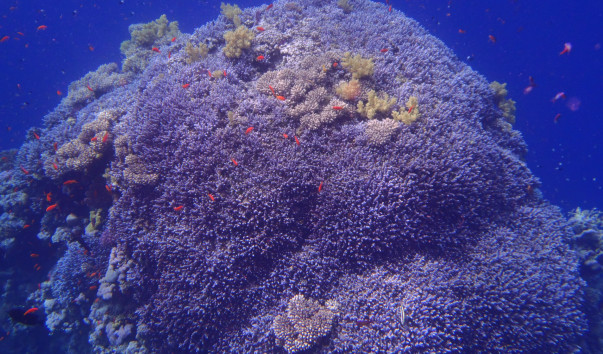 P3230174