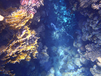 photo 472558