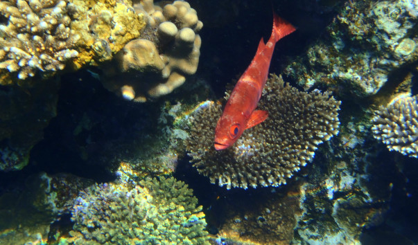 P1010159