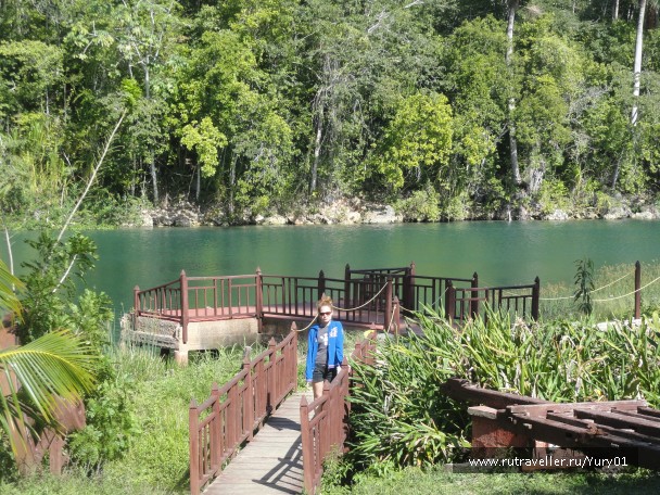 photo 450745