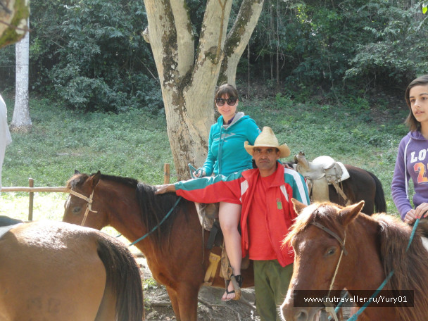photo 452044