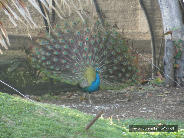 photo 452543