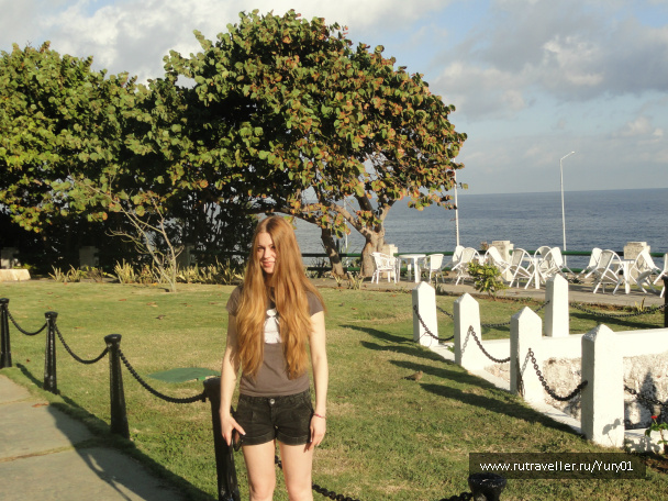 photo 452549