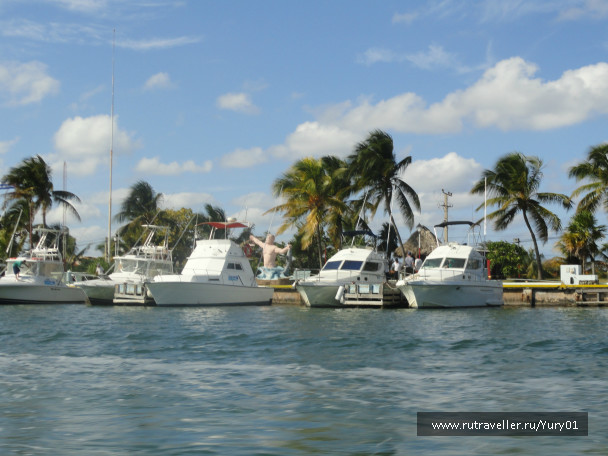 photo 456419