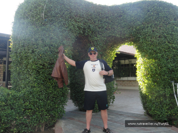 photo 462278